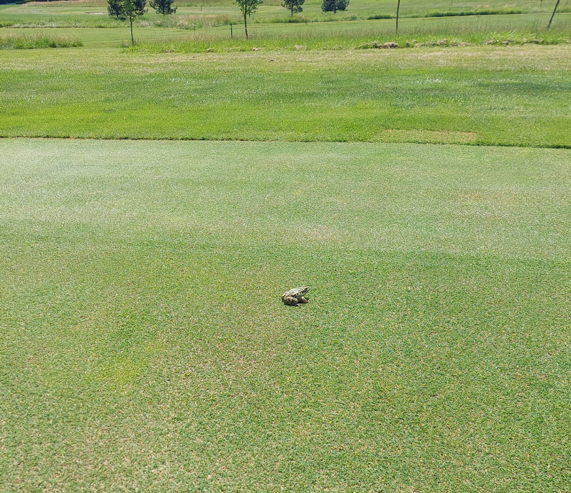 Pridružite se Golf klubu Radenci, Pomurje
