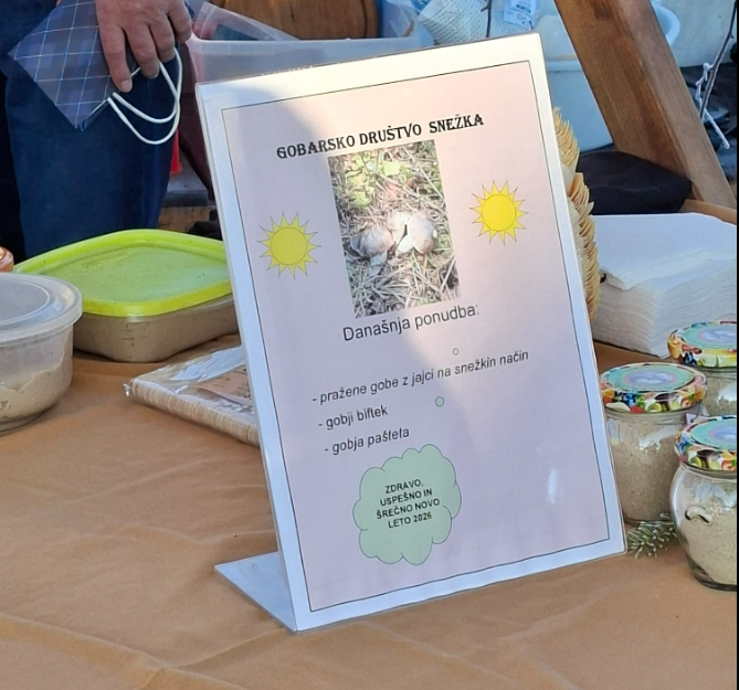 Spoznavanje in nabiranje gob Podravska