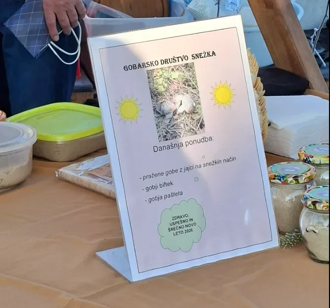 Spoznavanje in nabiranje gob Podravska