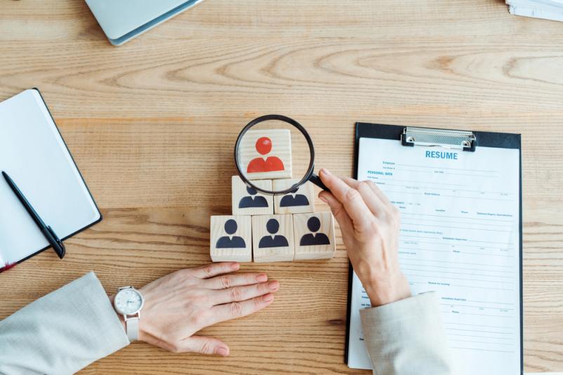 Kadrovsko svetovanje Savinjska regija