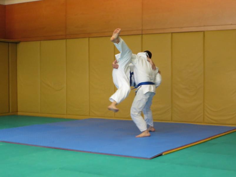 Klub borilnih veščin Nova Gorica, Goriška