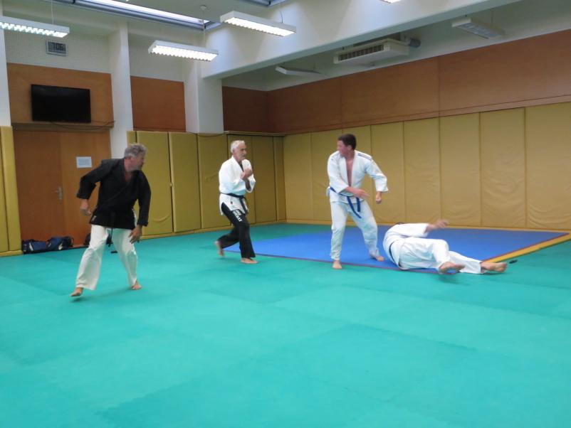 Vadba borilne veščine Nova Gorica