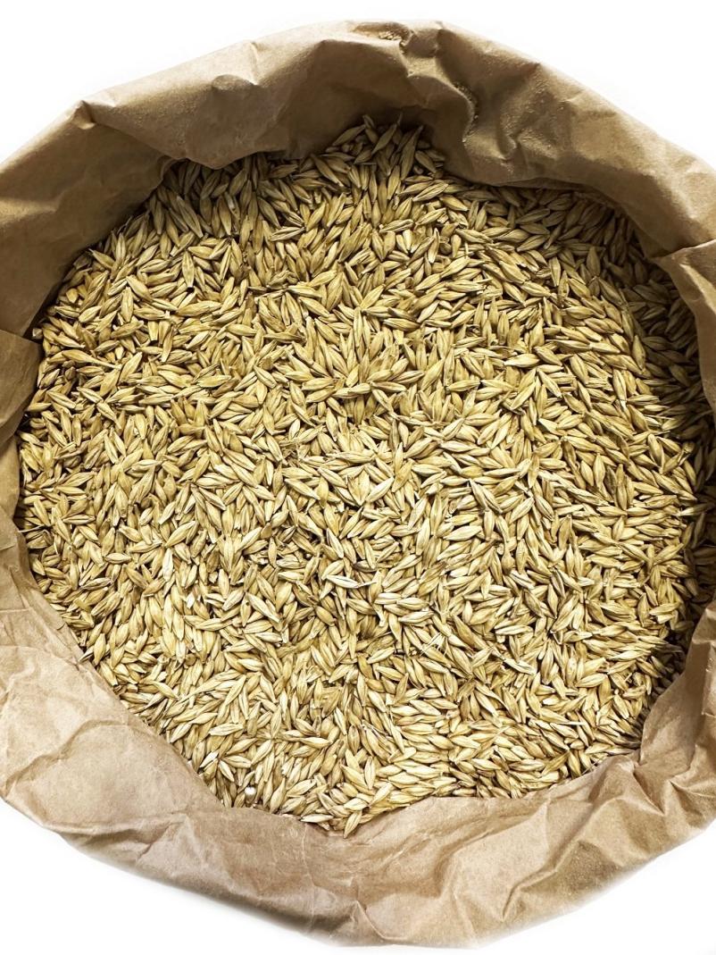 Krma za domače živali Slovenija za konje in drobnico