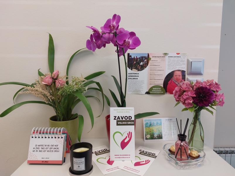 Pomoč invalidom Slovenija