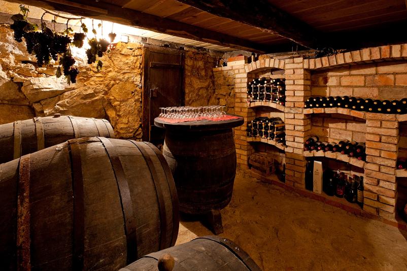 Teambuilding programi Dolenjska