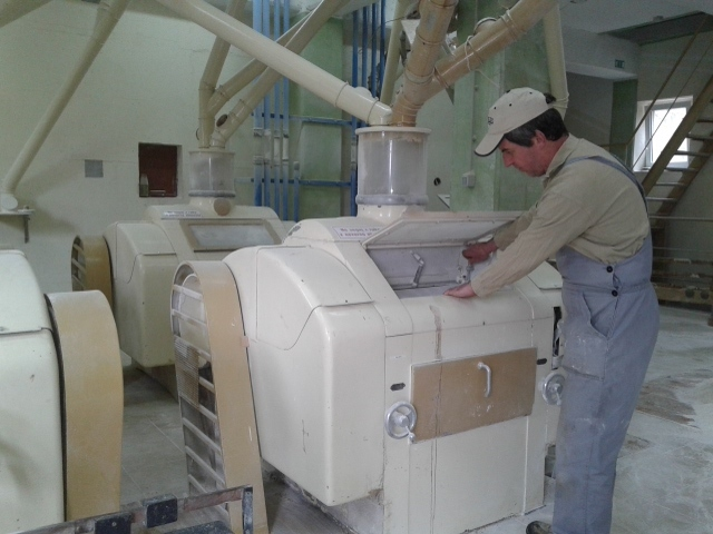 Pšenična moka tip 400, 500, 1400 – Sežana, Obalno-kraška