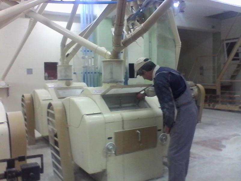 Pirina moka Sežana, Obalno-kraška, zdrava izbira za kruh in peciva