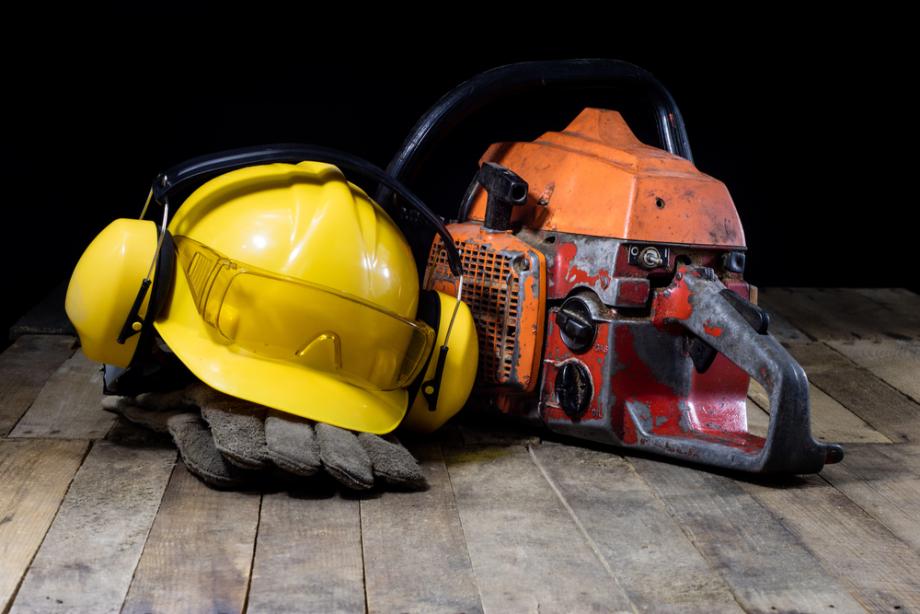 Kdo lahko izvaja sečnjo?