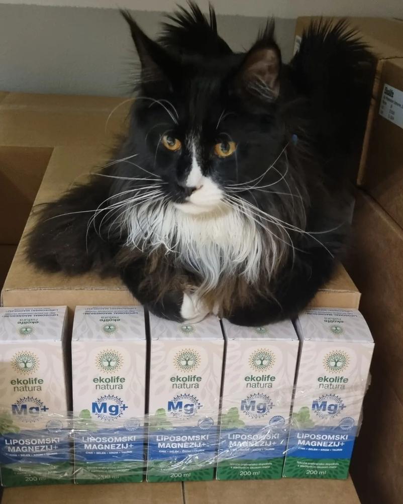 Spletni nakup prehranskih dopolnil Slovenija