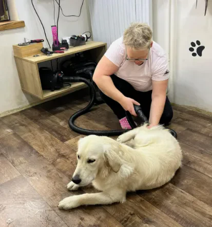 Pasji salon Celje