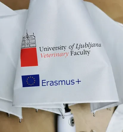 Promocijski tisk na tekstil in druge materiale, Slovenija