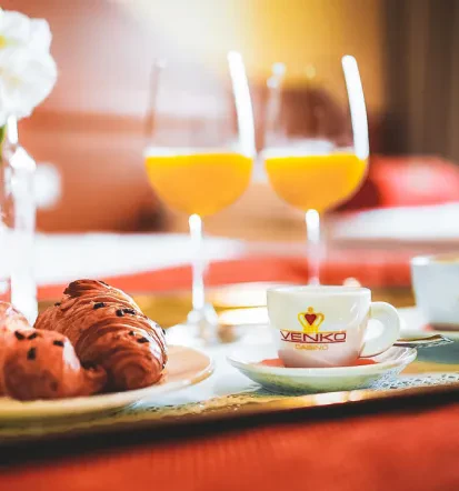 Najem sobe v hotelu Goriška