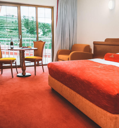 Prenočitev v hotelu Goriška