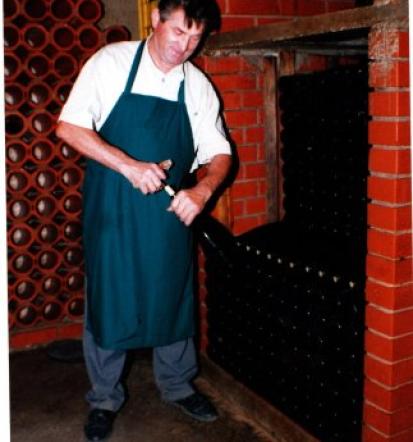 Degustacije vin Juršinci