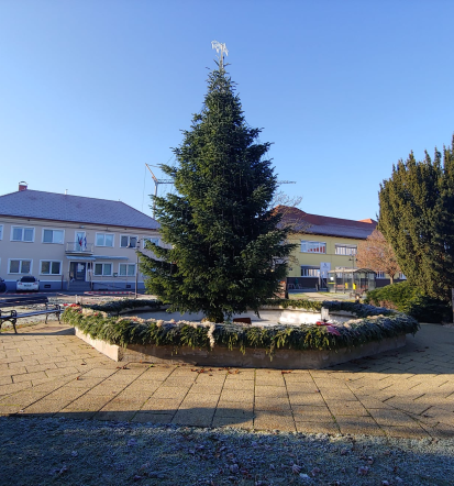 Aktivnosti v občini Cankova