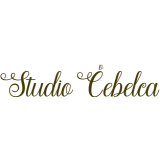 Studio Čebelca