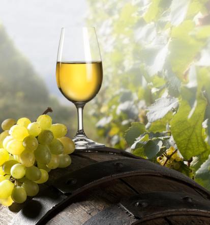 Prodaja vina Slovenija