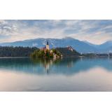 PETER GRILC - SOBODAJALEC