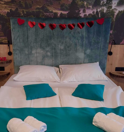 Apartmaji s savnami in wellness Savinjska