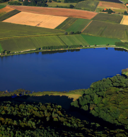 Najboljša občina Podravje