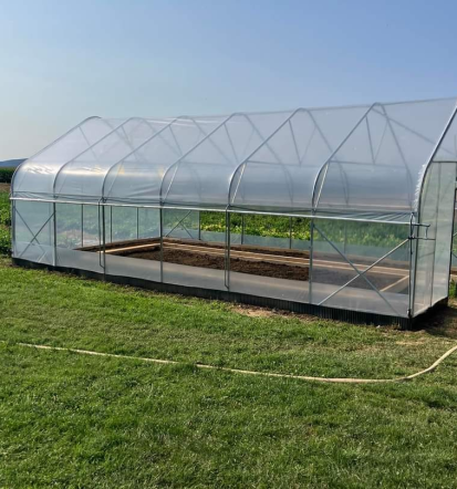 Rastlinjaki Hočevar vam omogočajo bujno organsko rast