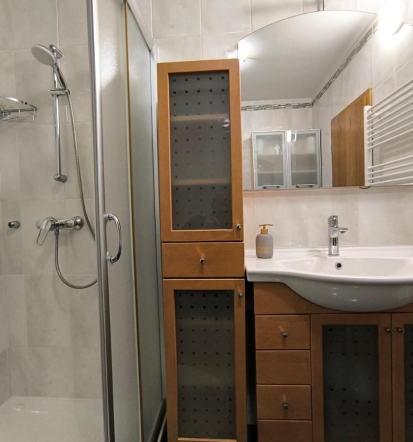 Nočitev, najem apartmaja Branik,
