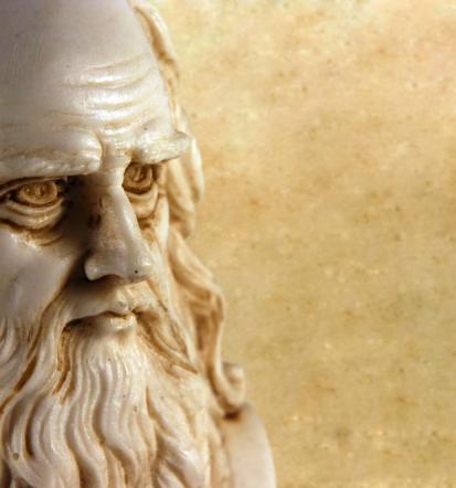 Da Vinci life in business coaching
