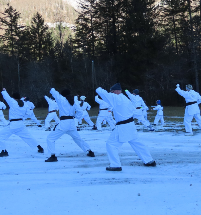 Shotokan Karate-Do klub KOBUSHI Kamnik je športno društvo