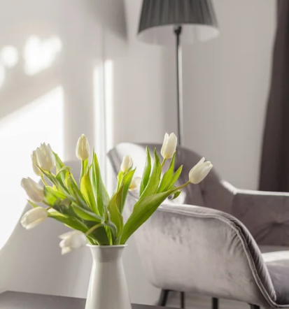 Najem apartmaja Planica