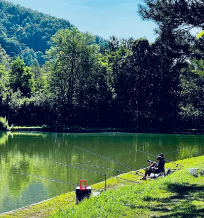 Ribiške dovolilnice Savinja