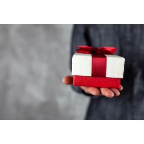 AURORA Sonja Tomažič s.p.