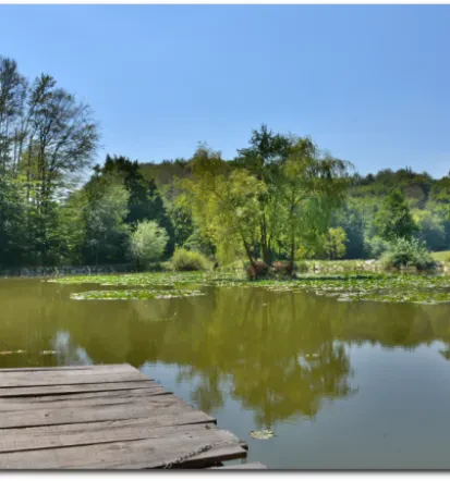 Ribiška družina Sotla vabljeni k vpisu