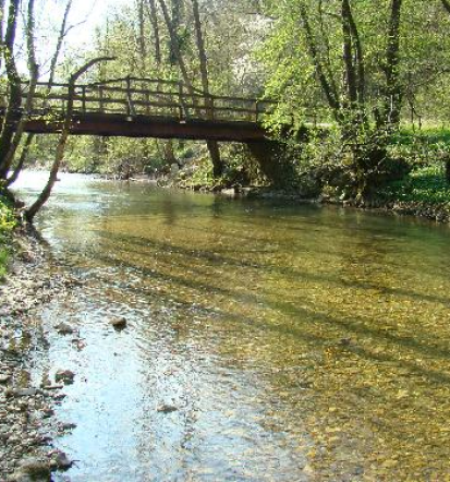 Ribolovne dovolilnice za športni ribolov Štajerska
