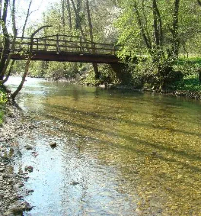 Ribolovne dovolilnice za športni ribolov Štajerska