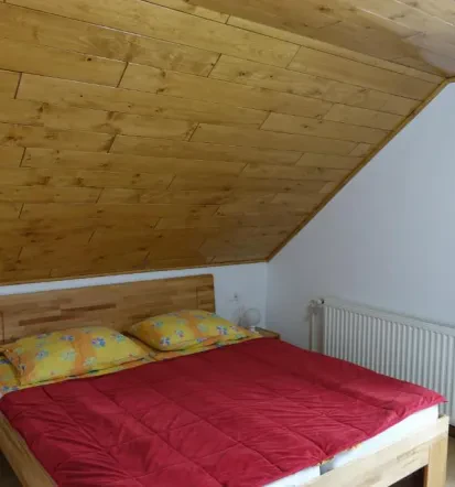 Ugodne nočitve v apartmaju Bohinj, Bohinjsko jezero