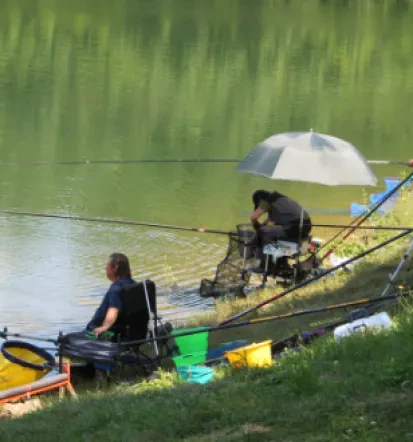 Ribiška družina Bistrica je pomemben del ribištva
