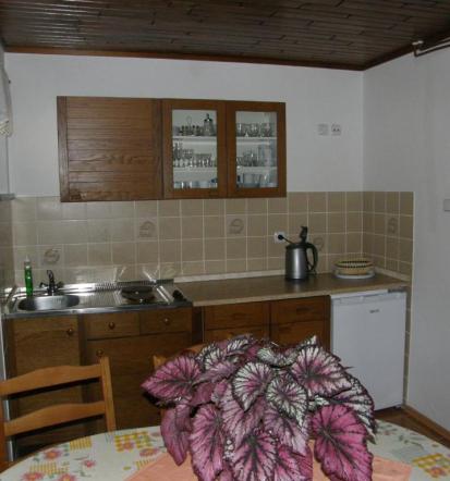 Apartma Bohinj, Bohinjsko jezero