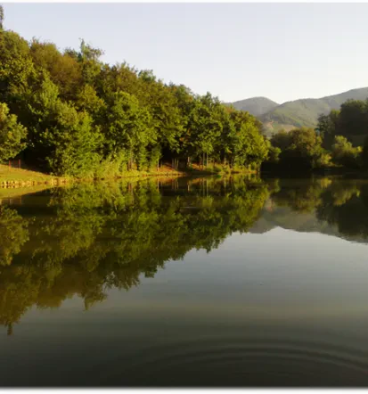 Ribiška koča Štajerska