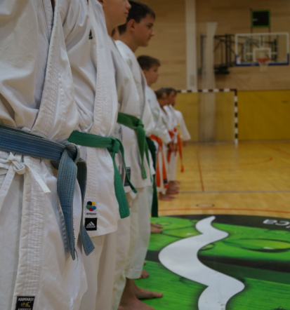 Sankukai karate klub Ivančna Gorica