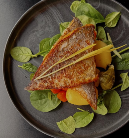 Za poslovna srečanja, zajtrke in kosila v Ljubljani