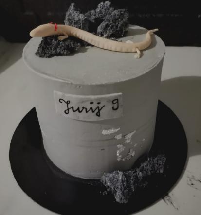 Torte za posebne priložnosti