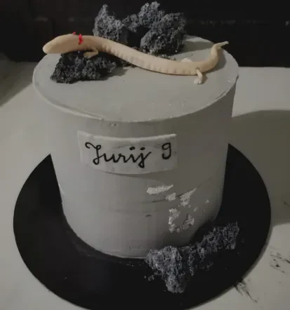 Torte za posebne priložnosti