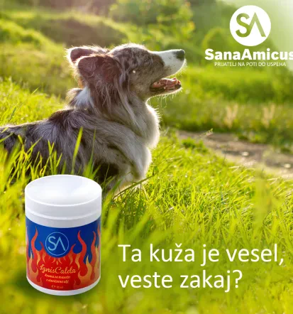 Krema za masažo z eteričnimi olji