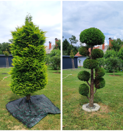 Planiranje terena Pomurje, Podravska