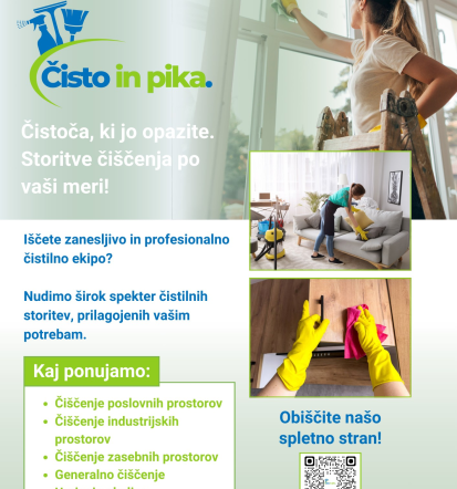 Diskreten čistilni servis Celje, Štajerska