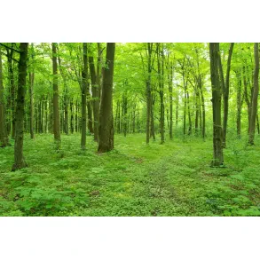 Agrarna skupnost Kal nad Kanalom