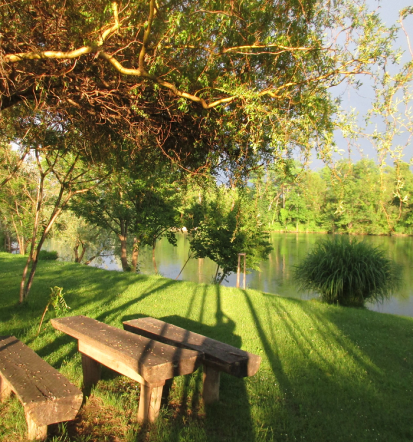 Prenovljene sanitarije, dober kamp Bela krajina