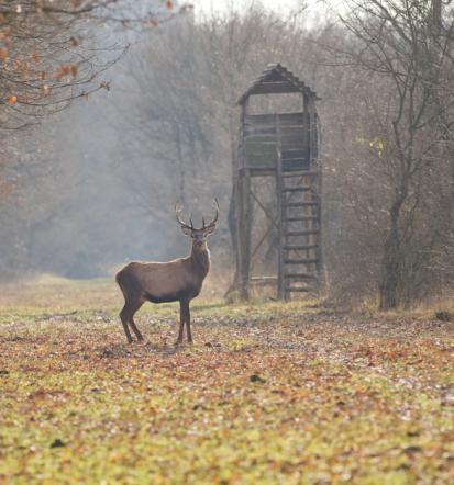 Družinski izlet v Loško dolino
