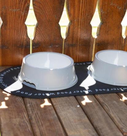 Najem apartmaja Zgornje Gorje