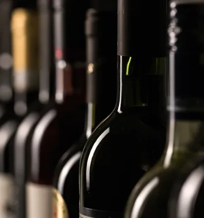 Vrhunsko belo in rdeče vino Primorska